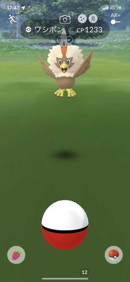 ポケモンgo キャモメの色違い 入手方法と実装状況 攻略大百科