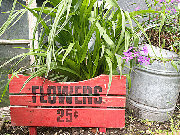 HomeroadSusan's tweet image. Here&apos;s a fun repurpose for the garden! Along with all the galvanized planters and fun garden ideas is this easy to make stenciled sign! Do you recognize what it used to be? 🌿🌺🌞

homeroad.net/2022/06/repurp…

#garden #junkgardening #diysigns #gardensigns #gardening #flowers