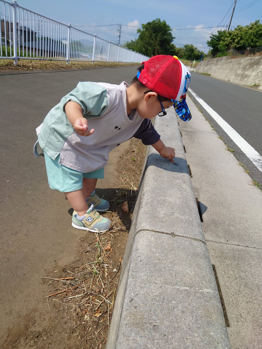 kobayan67's tweet photo. 1ヶ月くらい前からメガネデビュー。嫌がる時の方がまだ多いけど、嫌嫌ながらがんばって付けてくれてる😭 https://t.co/Hal4yGRFdD