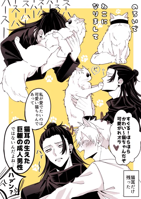 にゃんこ夏五🐈 