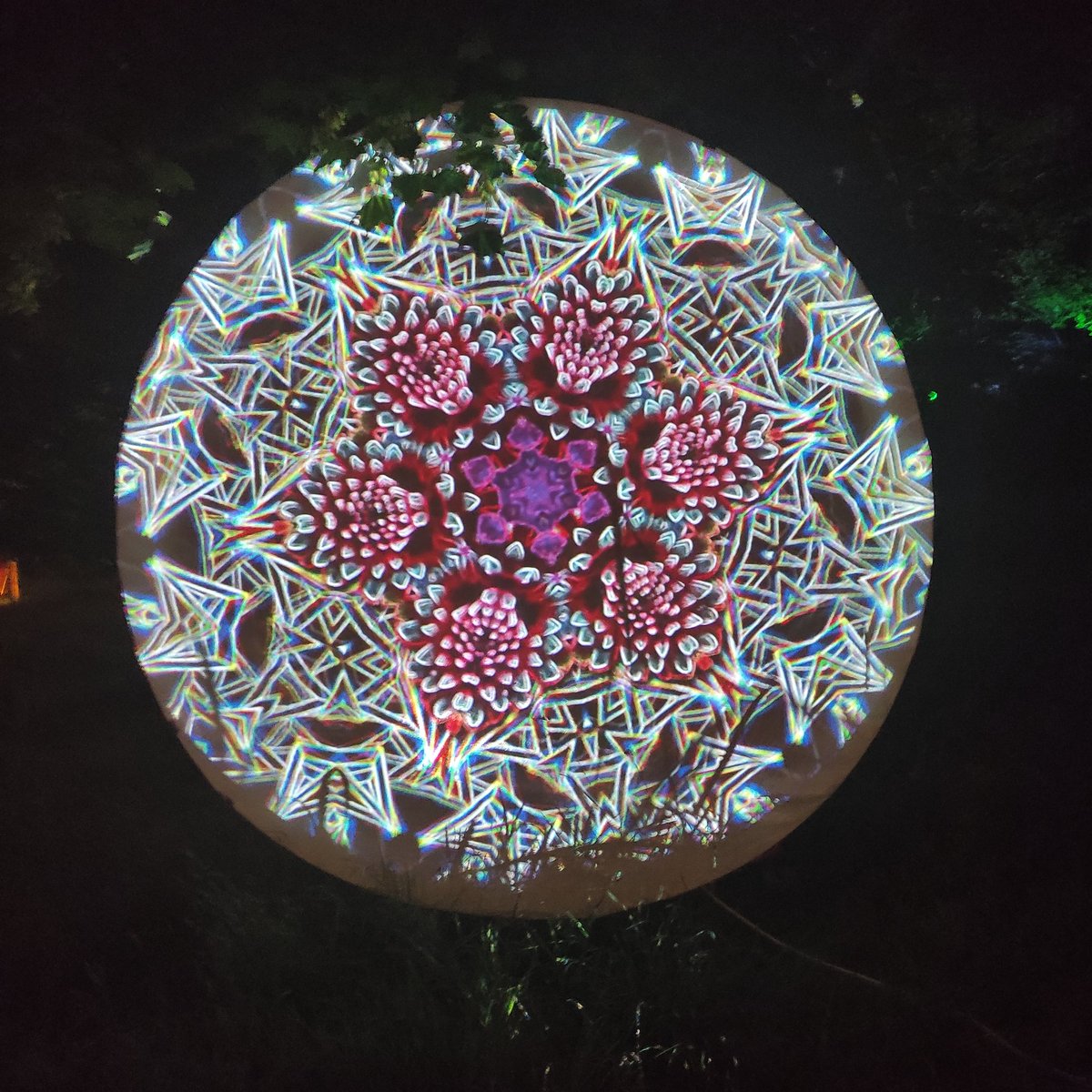 hyperoculus's tweet photo. Taking my projection content to a new level, really please with the blending of organics and placement. Folk have really enjoyed these.  #LightArt #ProjectionMapping https://t.co/4ASwdbTon0
