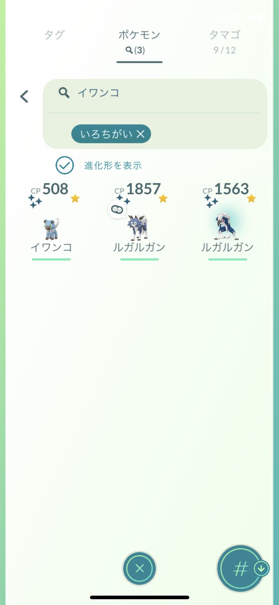 こなつ イワンコ系統が好きで実装からイワンコ 進化別に色違い収集しててようやく揃った 久々にポケモンgo頑張った T Co Pvp3xopyfr Twitter
