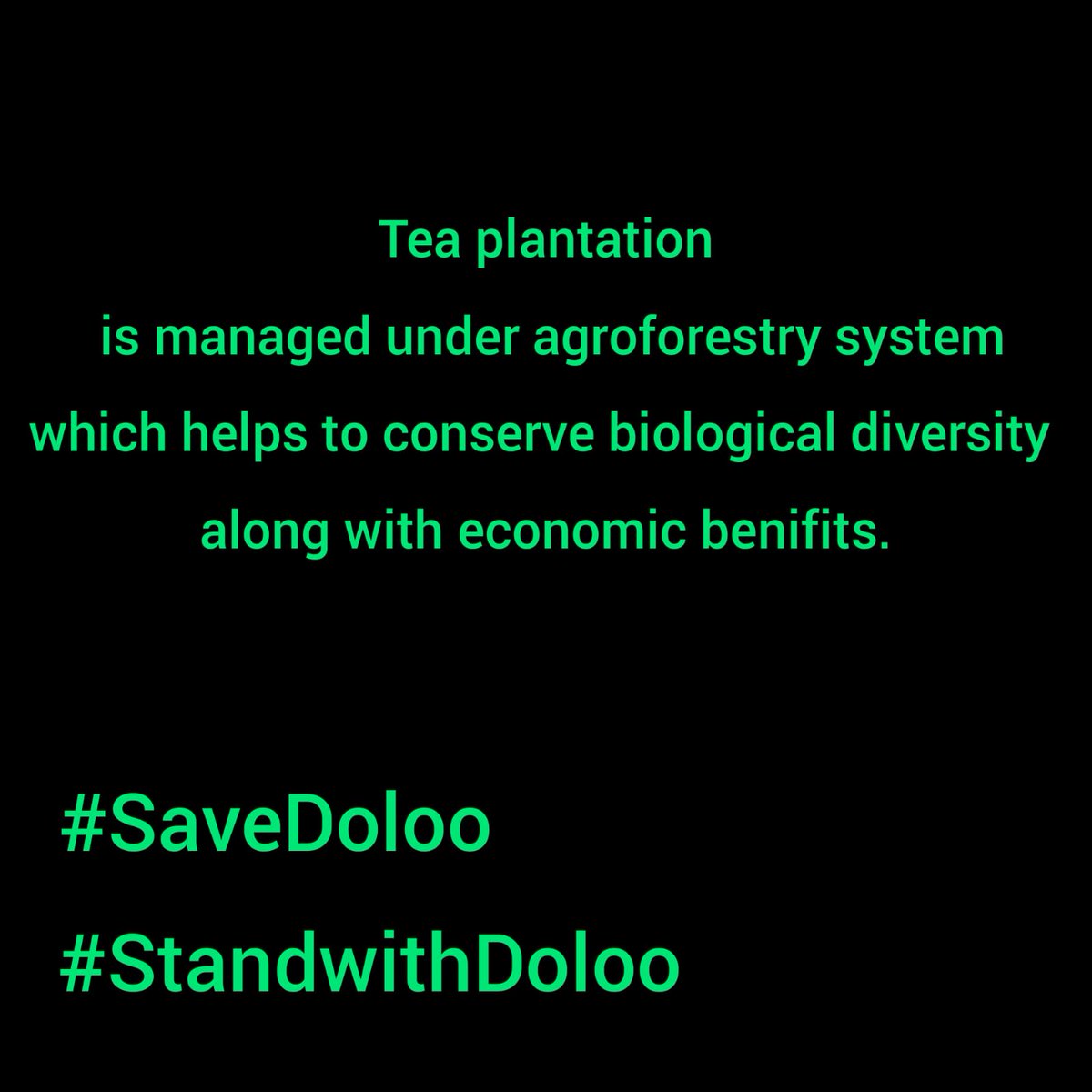 Tilak_NetamGond's tweet photo. #SaveDoloo
#SaveDoloo
#StandWithDoloo
#ClimateJustice
#WorldEnvironmentDay #विश्वपर्यावरणदिवस
Today seems like a joke, seeing the land acquisition of the government, we are continuously cutting the forest, on the other hand we are celebrating the day of environmental protection https://t.co/UfWBilepXi