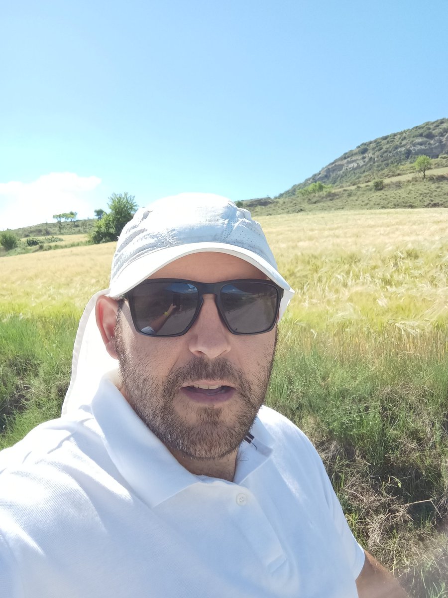 alsolsona's tweet photo. A casi 1000 metros de altura aún verdea la cebada.
Puro espectáculo!!!

#Agricultura
#Montsec
#Alsamora
#SantEstevedelaSarga
#Tremp
#PallarsJussa
#Lleida

#CasiVerano https://t.co/Q3gKr1RMoz