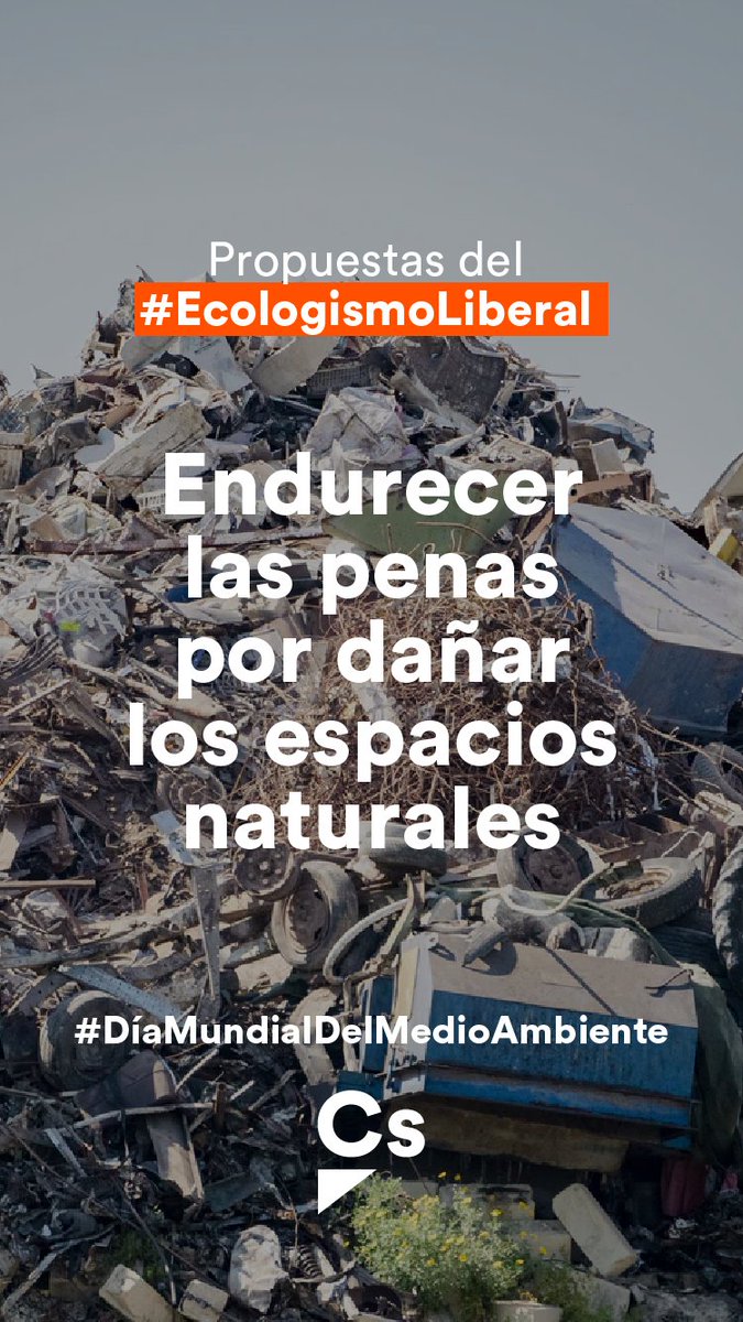 Cs Torrelodones tweet media