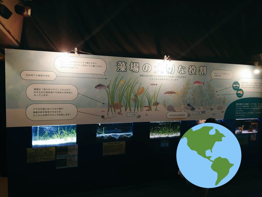 Akira3337Y's tweet photo. 今やってるのとじま水族館の企画展が鉄腕dashとドンピシャ過ぎて笑ったわ笑
https://t.co/EhRNGpsTYc
#鉄腕dash
#のとじま水族館 https://t.co/gEjgWOjDJK
