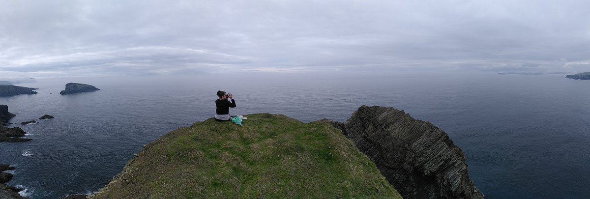 dolmansarahj's tweet photo. A group of porpoise seen off the far end of St Ninians Isle, Shetland 😃🐬 #Shorewatch #CasualSighting #ComeOnOrca #OrcaWatch https://t.co/FEFBOPxTK3