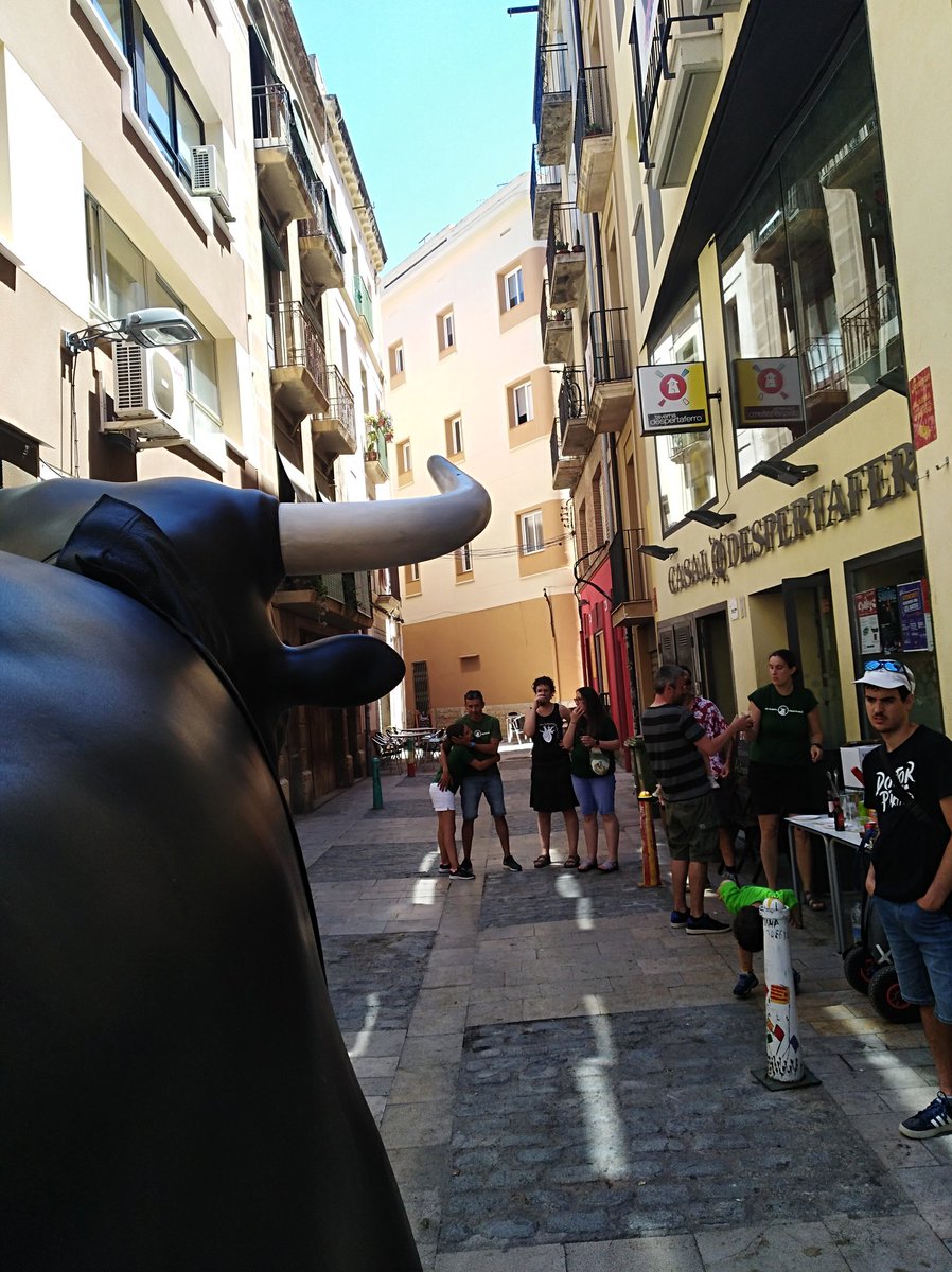 Els del <a href="/elboudereus/">Bou de Reus</a> ja escalfem motors per #SantPere2022