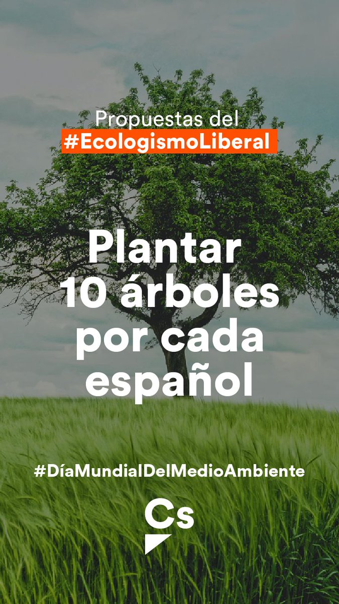 Cs Torrelodones tweet media