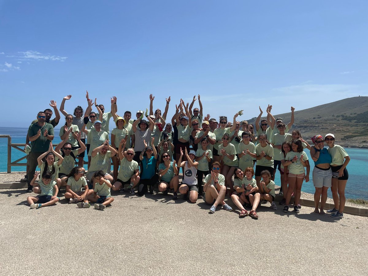 GOBMallorca's tweet photo. 👏🏼 Gràcies als 60 voluntaris que han participat en aquesta jornada hem deixat 50 metres cúbics lliures de Senecio cineraria! Gràcies a tots i totes per les ganes i la feina! 😍 https://t.co/i4Vf65JvDG