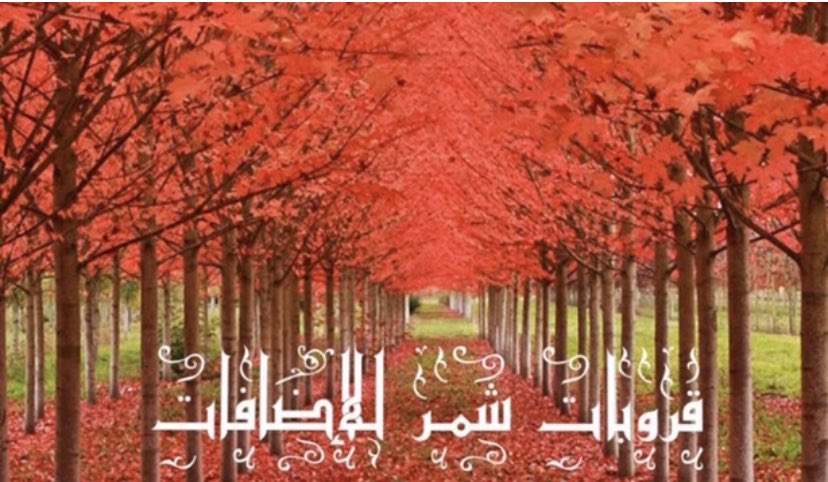عبدالله tweet media