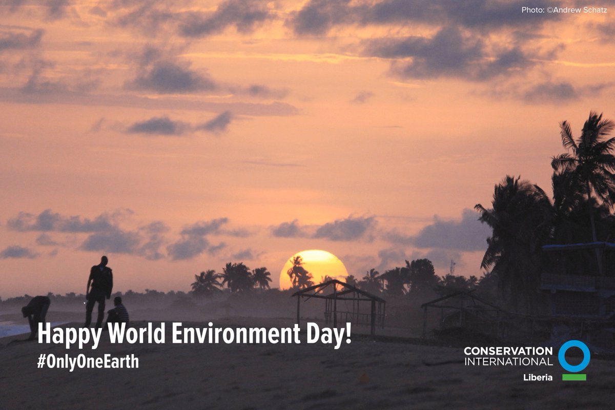 Conservation and restoration of our biodiversity and ecosystems is good for our economy, climate, food and water security, and physical and mental wellbeing, among many other benefits. 

Add to the list of benefits....

#WorldEnvironmentDay #OurOnlyEarth 🇱🇷