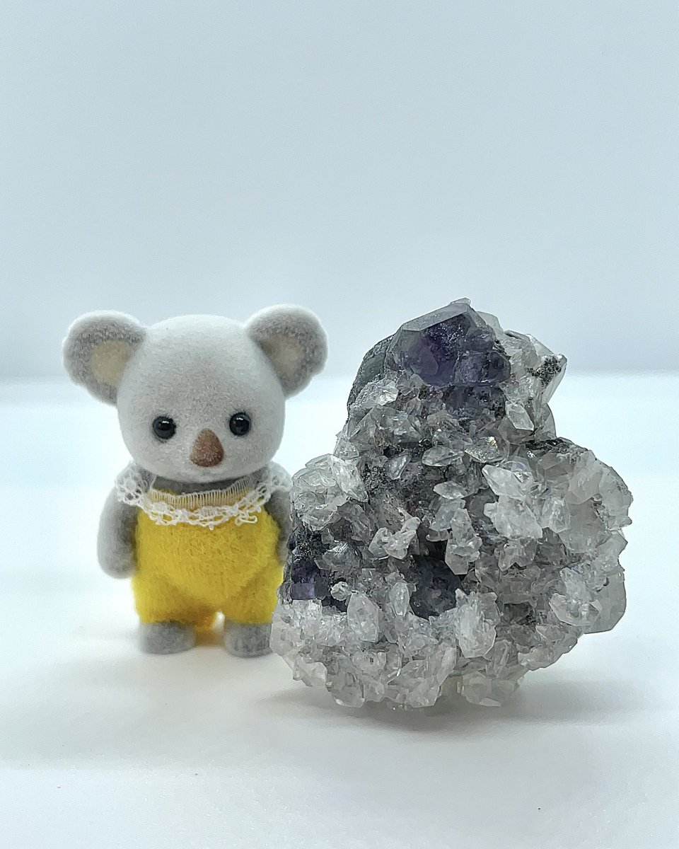 _o28_'s tweet photo. カルサイト https://t.co/j8xsnKPQ02