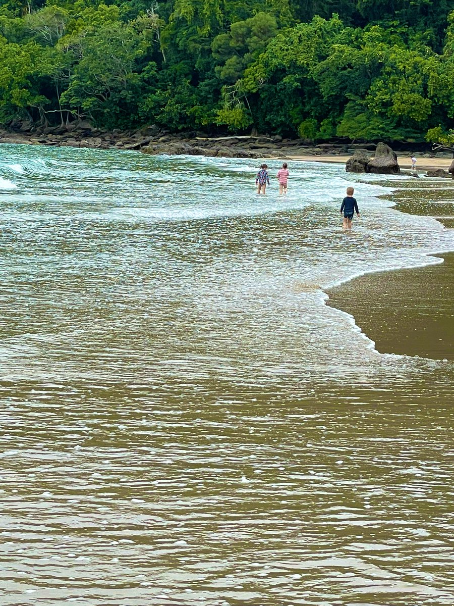 SharonDownman1's tweet photo. Such a tough winter #fnq #ettybay https://t.co/Ierq6x3dVW