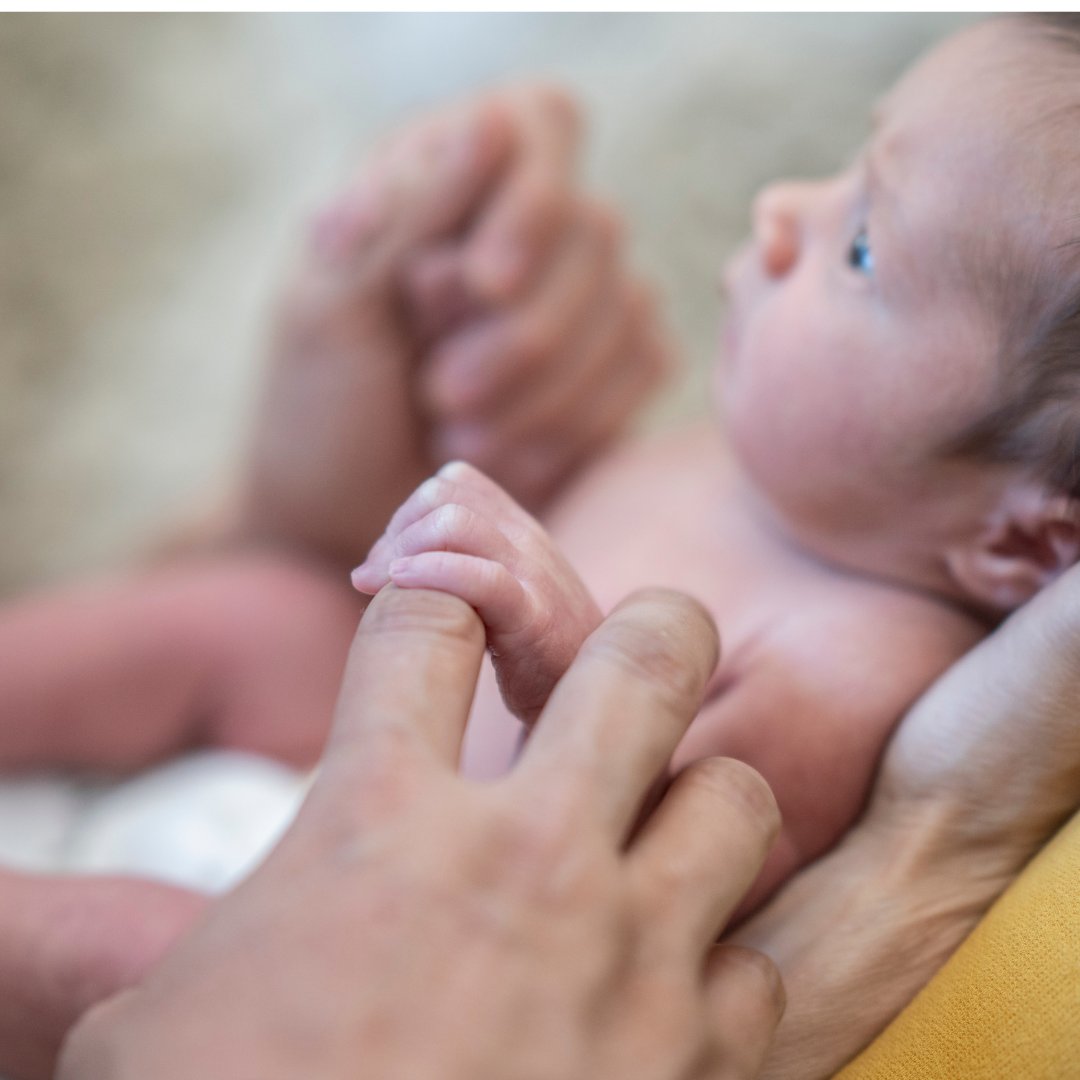 Sensory Beginnings tweet media