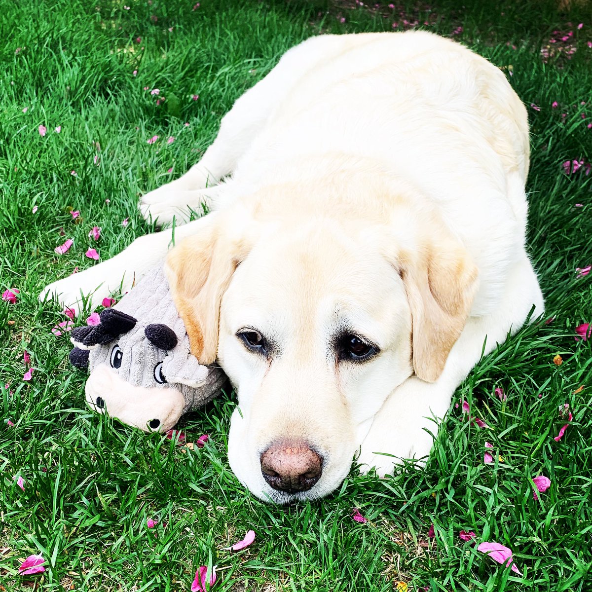 Mike Bell tweet media