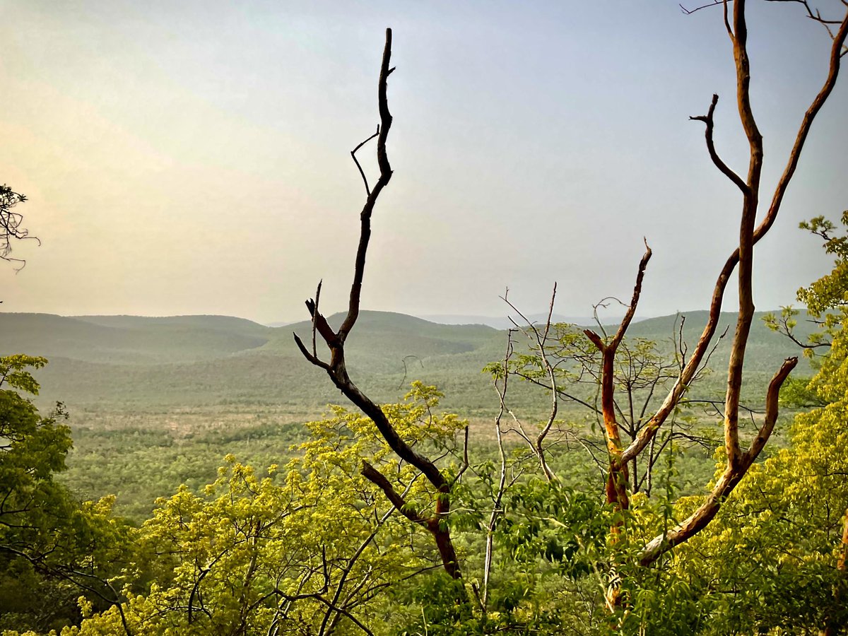 RenascentRaam's tweet photo. Happy world environment day #save_environment https://t.co/FrMoGzFOqE