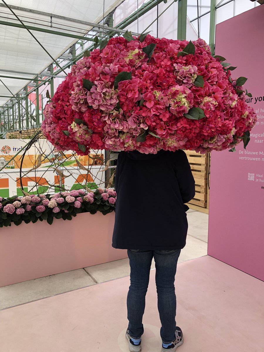 ericvanderburg's tweet photo. Gisteren leuke dag op de @FloriadeExpo gehad. https://t.co/X9qCli6zm3