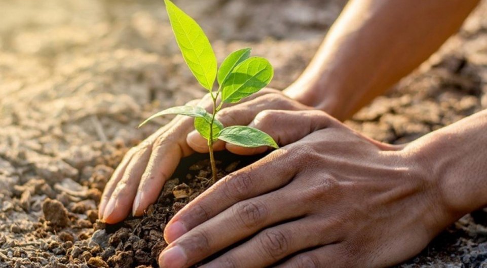 monybernar's tweet photo. "Living sustainably in harmony with nature"
#EnvironmentDay #sustainability #trees #WorldEnvironmentDay #SaveSoil #water #air #energy #waste https://t.co/n5KAVrfR8r