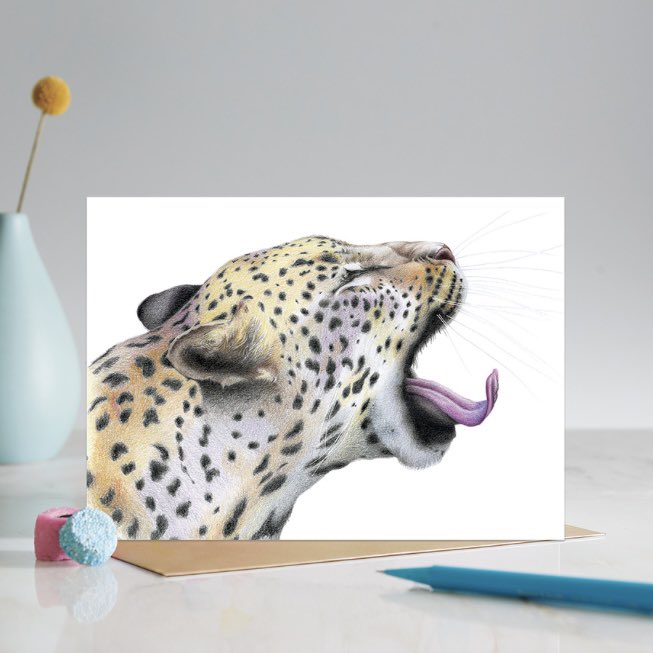 Do you send cards for birthdays? It just requires a little effort and planning. You can fill a draw full of cards so you are ready for those occasions all year round. No excuses!
Happy Sunday! ✨🐆✨🐆
decklededge.co.uk/product/leopar…

#leopard
#bigcat
#wildcat