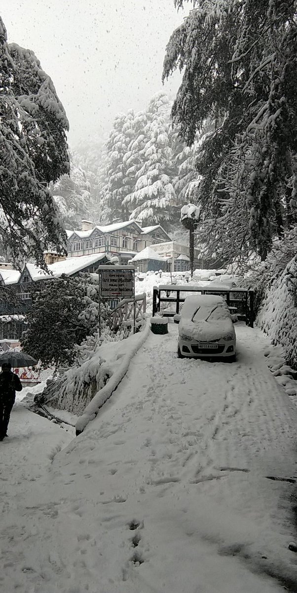 Same location, two versions..
Mother Nature is so magical ❤️
Let's save our environment 🏔️

#WorldEnvironmentDay #WorldEnvironmentDay2022 #happyenvironmentday #shimla