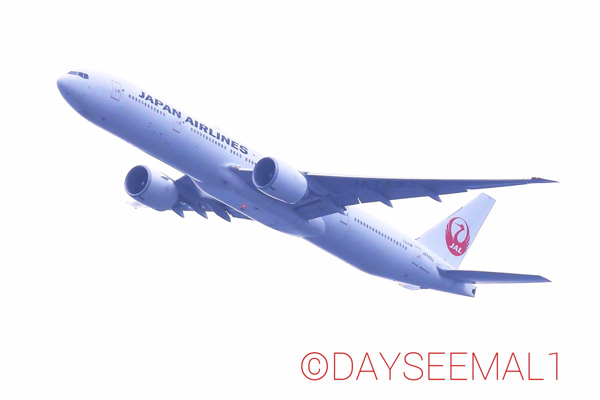DAYSEEMAL1's tweet photo. A Japan Airlines Bowing 777-300ER JA743J landing in Tokyo International Airport.
2022/6/1
#JA743J
#JL15 (LAX→HND) https://t.co/tgaJCCknb6