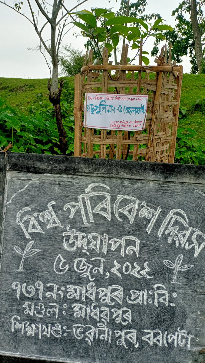737mlps's tweet photo. World Environment Day Celebrated in collaboration with Eco &amp; Youth Club https://t.co/OTTtdzeLIK