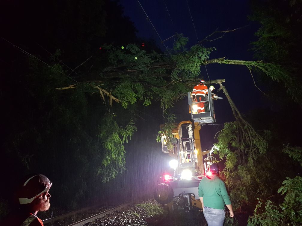 RatheauMichael's tweet photo. Nos équipes présentes dès cette nuit, œuvrent toujours à dégager les arbres tombés sur la voie. https://t.co/VuvoyNEs4l
