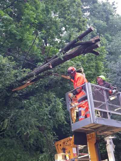 Nos équipes présentes dès cette nuit, œuvrent toujours à dégager les arbres tombés sur la voie.