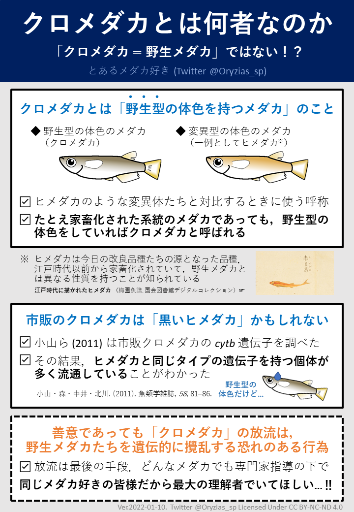 セブ フェレと金 Yuki Sebu Twitter