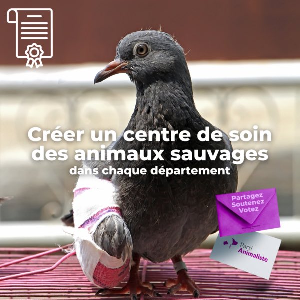 PartiAnimaliste's tweet photo. Les animaux sauvages sont trop souvent exclus des politiques publiques. Afin d’agir pour leur protection, le Parti animaliste souhaite créer dans chaque département un centre de soins des animaux sauvages. #1jour1mesure #legislatives2022 https://t.co/sBN1U3PJPe