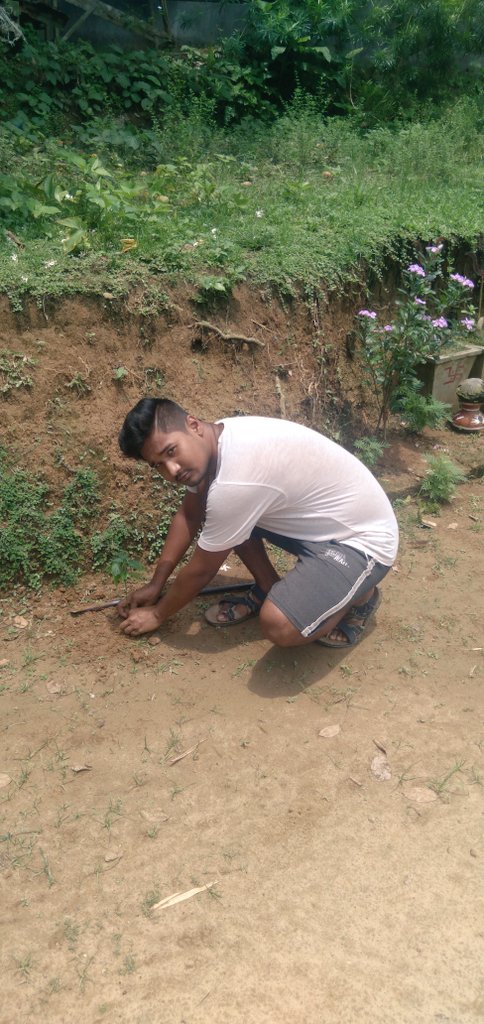 shibsagarsingh's tweet photo. (🇮🇳 Jai Hind ✊ Jai Tripura 🙏)
সবাই সুখে থাকুন। 
প্রকৃতি সংরক্ষণের চেতনা এবং এর প্রতি শ্রদ্ধা বৈদিক যুগ থেকেই আগুসর।
ত্রিপুরাকে পরিচ্ছন্ন ও সবুজ করতে আমাদের সঙ্গে যোগদান করুন। এ বিশ্ব পরিবেশ দিবসে ত্রিপুরাকে আবার সবুজ করার জন্য সবাইকে আহবান করছি।
আপনাদের সুচিন্তক-শিবসাগর সিংহ।🙏 https://t.co/YVGeHpOEll
