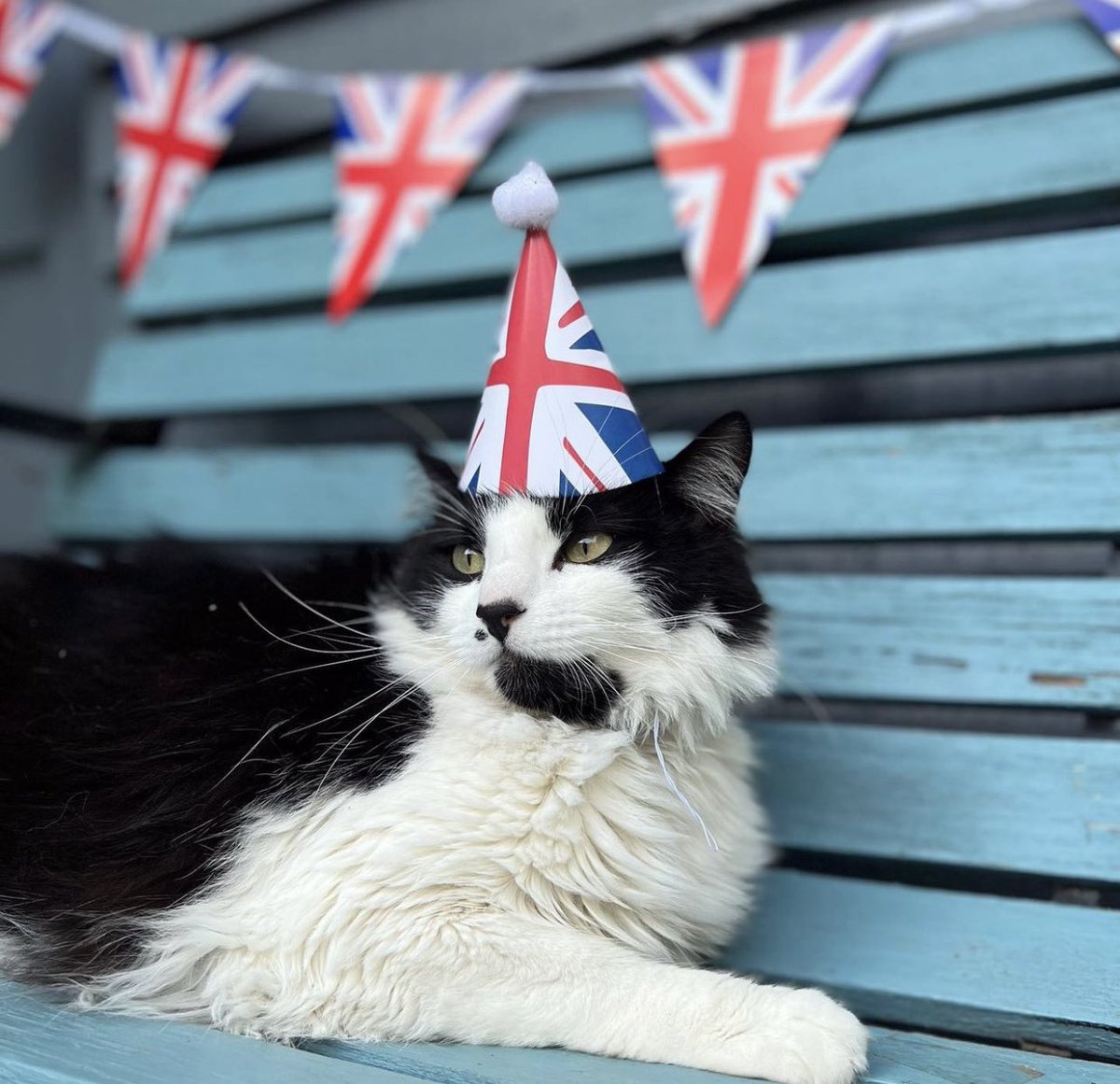 The Good Grief Trust tweet media