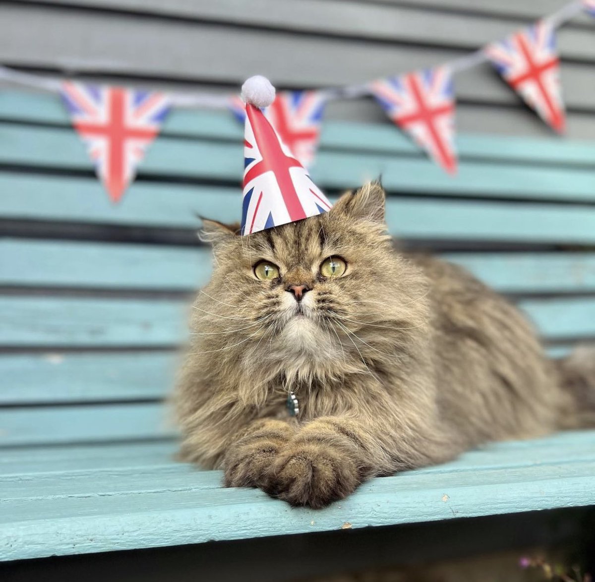 The Good Grief Trust tweet media