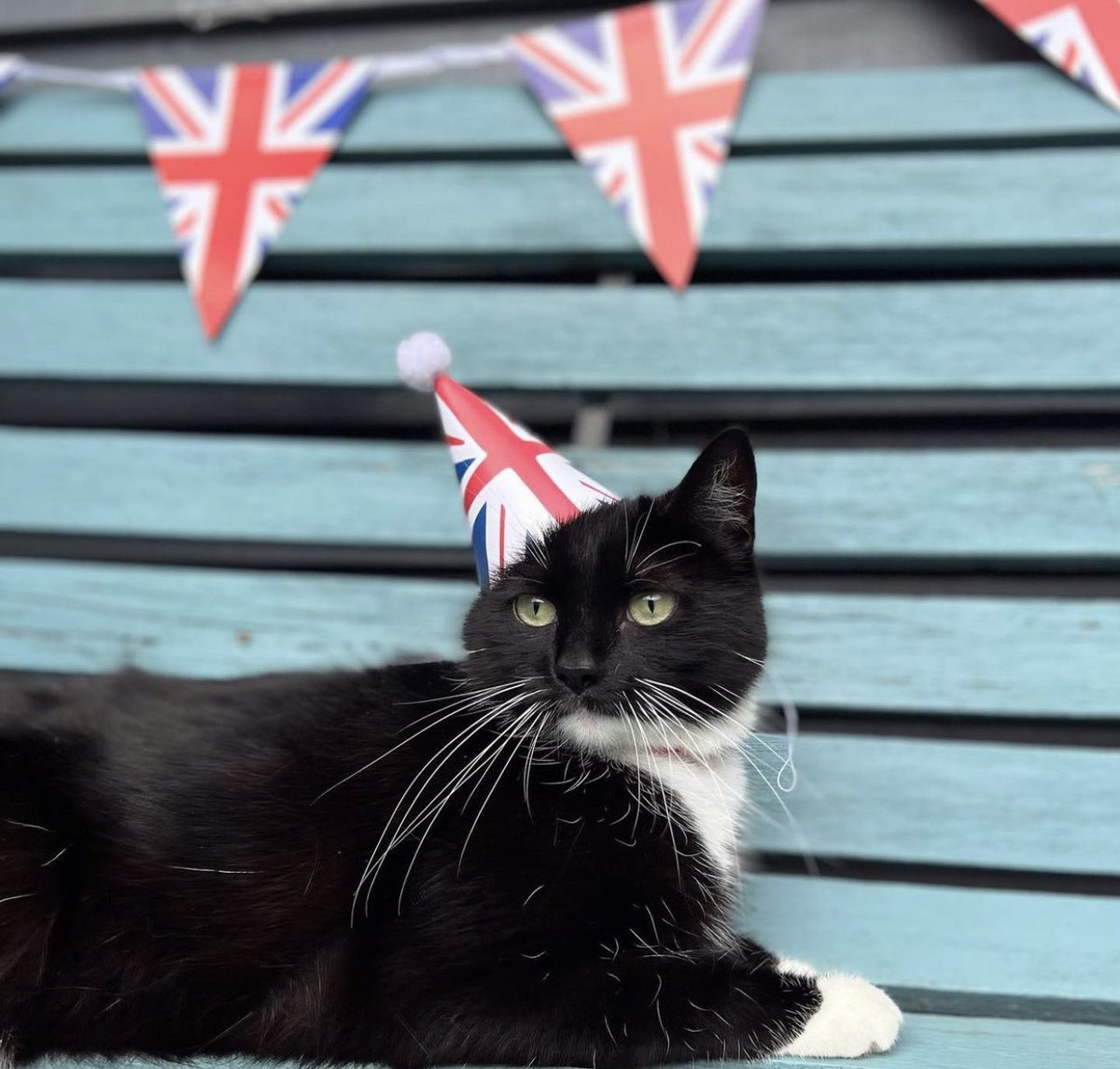 The Good Grief Trust tweet media