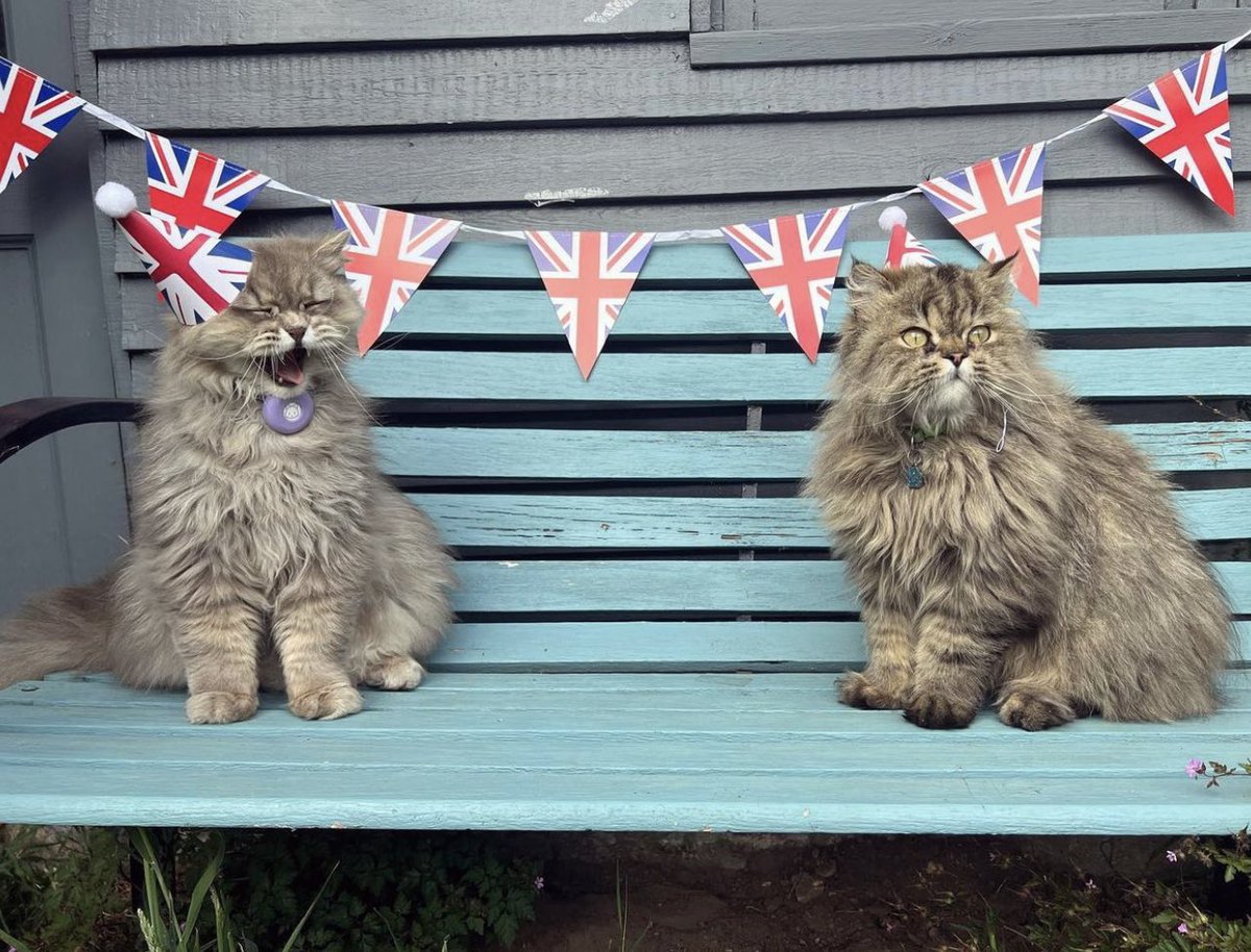 The Good Grief Trust tweet media