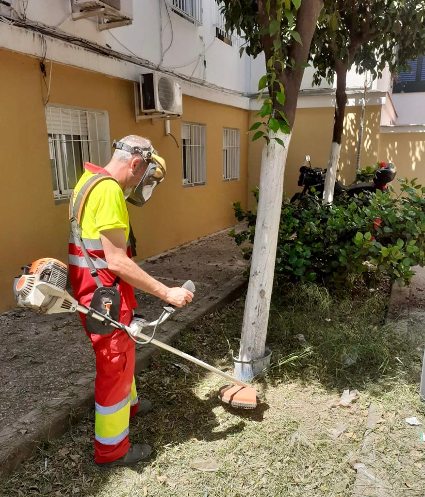 Ayto_Sevilla's tweet photo. 🍂 Tareas de desbroce realizadas en los barrios: calles Avellana (Macarena), Flor de Porcelana (Sevilla Este) o Séneca (Tres Barrios).
👷🏼 El servicio municipal #072REUR atiende las incidencias de forma inmediata.
🔛 Solicítalo en el 955010010 o en la APP #SevillaTuCiudad. https://t.co/tCFtT33Qaf