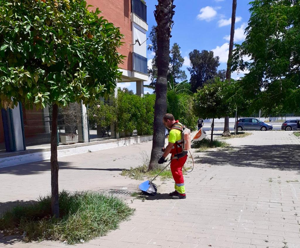 Ayto_Sevilla's tweet photo. 🍂 Tareas de desbroce realizadas en los barrios: calles Avellana (Macarena), Flor de Porcelana (Sevilla Este) o Séneca (Tres Barrios).
👷🏼 El servicio municipal #072REUR atiende las incidencias de forma inmediata.
🔛 Solicítalo en el 955010010 o en la APP #SevillaTuCiudad. https://t.co/tCFtT33Qaf