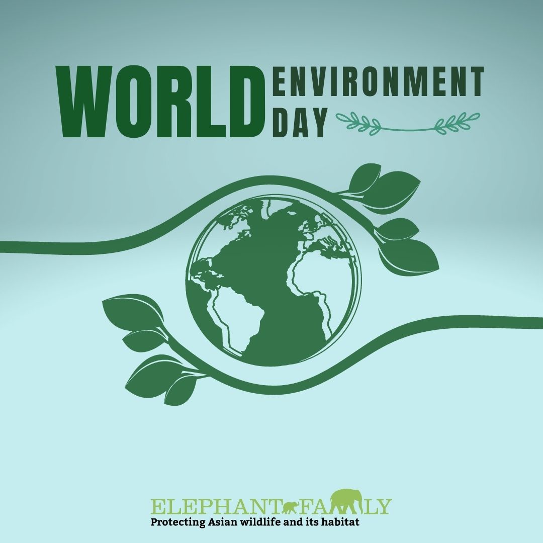 In the universe are billions of galaxies. In our galaxy are billions of planets. But there is #OnlyOneEarth.
Let’s take care of it. #WorldEnvironmentDay 2022