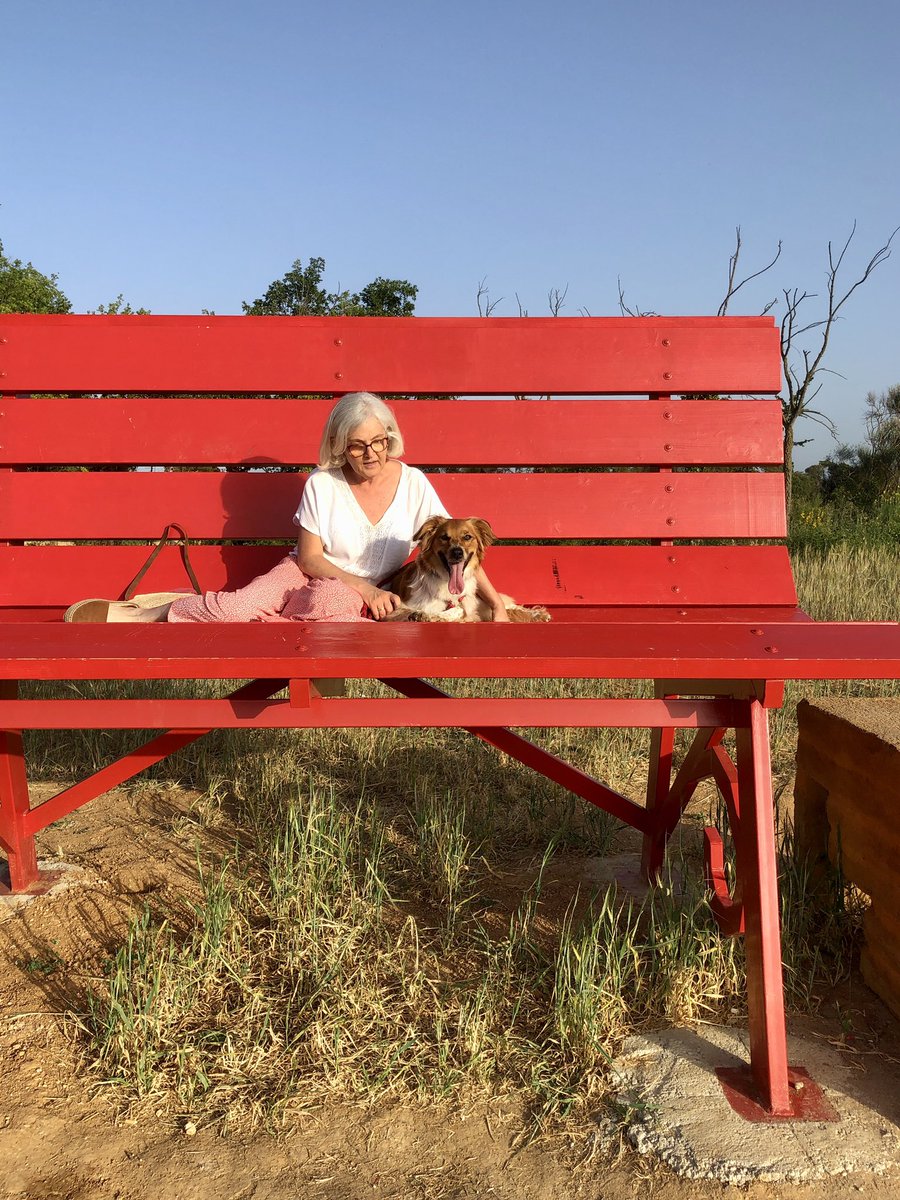 BCNHorasOficina's tweet photo. #Gironès | 👣🪑Ahir al cap vespre, finalment, vam poder anar a seure i gaudir de les vistes des del #GirBANC de 📢Sant Jordi Desvalls… [1/2]

#BigBenchProject @turismegirones https://t.co/75TWA1xbF5