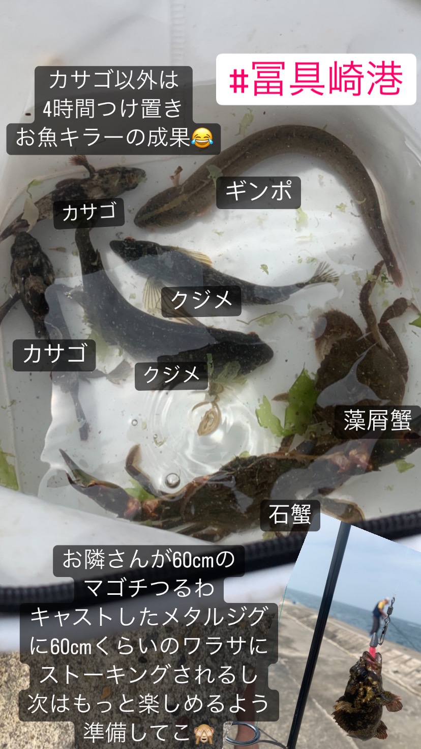 お魚キラー Twitter Search Twitter