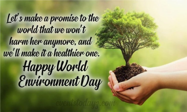 Tpcell_mimit's tweet photo. A nation that destroys its soils destroys itself. Forests are the lungs of our land, purifying the air and giving fresh strength to our people.”

HAPPY  ENVIRONMENT DAY. let's make this world suitable habitat for our upcoming Generations.

#worldenvironmentday2022 #savenature https://t.co/5IVTA9Lejt