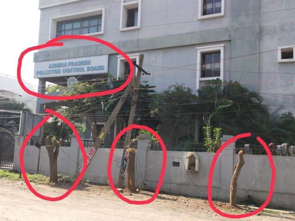 Sanjuu_saahu's tweet image. మొక్కలు నాటండి పర్యావరణాన్ని కాపాడండి అనిచెప్పే Polution Control Board, తమ ఆఫీస్ ముందున్న చెట్లను నరికించేసింది 🙏🏻 మన ప్రభుత్వ  పాలన అంత రంజుగా ఉందన్నమాట. @ysjagan

#EnvironmentDay2020 
#EnvironmentDay 
#janasenaparty