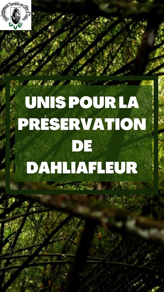 #JME2022
#JVE
#dahliaafleur4ever 
Aujourd'hui journée mondiale de l'environnement. 
 On a pas été autorisé à faire les "activités" dans cette merveille mais notre coeur bat pour #Dahliafleur