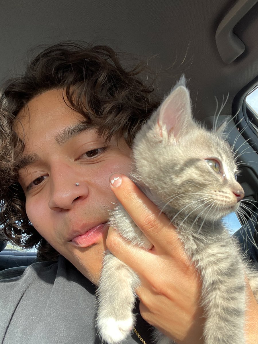 leandrojayala's tweet photo. i finally got a pet kitten she’s all mine 🥰🥰 https://t.co/tBwGKiJd32