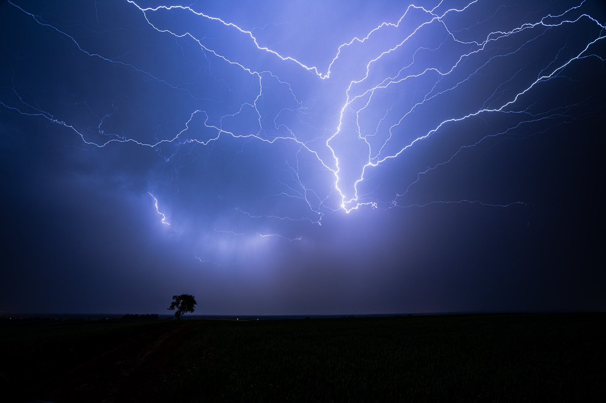 CedricSchell's tweet photo. Quelques clichés de l’orage de cette nuit en Alsace du Nord.
(Sur les hauteurs de Reimerswiller, 05.06.22) https://t.co/n6SA6RqYQT