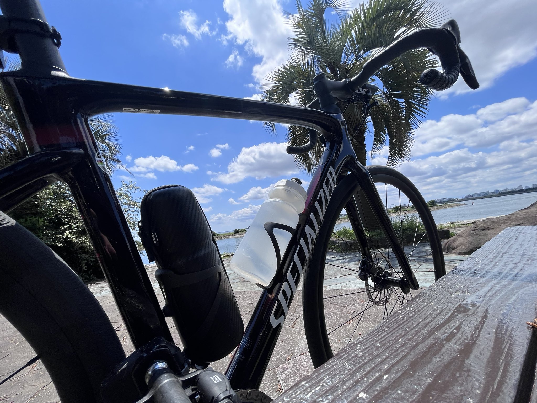 Naoki 05 Twitter再登録 葛西臨海公園 ロードバイク 貧脚 スペシャライズド 自転車 サイクリング ゆるぽた Etap T Co 0fisolzjih Twitter