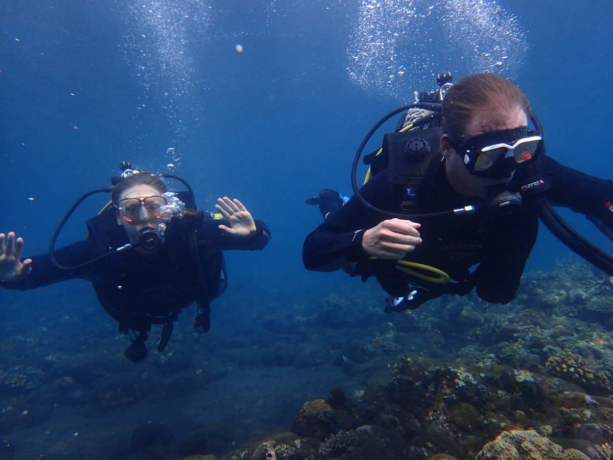 enadive's tweet photo. Come to Bali and with us https://t.co/HnQv5WaDgS #scubadiving #scuba #scubadivewithjah #adventure #wreckdives #shoredive #scubalover https://t.co/ZhQbxC0UZd