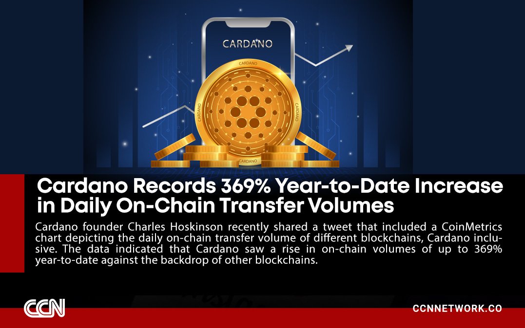 CCN.network (@ccnnet) on Twitter photo 