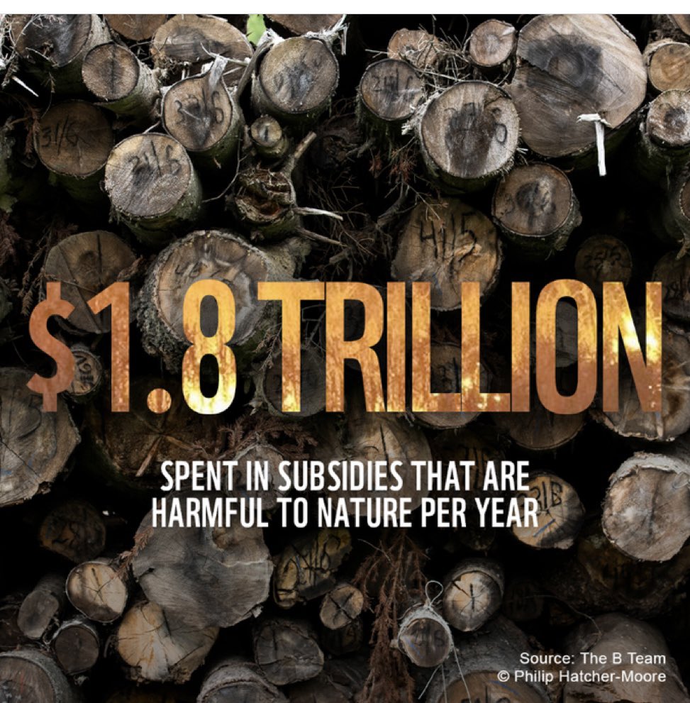 #WorldEnvironmentDay Main driver of nature loss is our food system on land,freshwater & ocean Governments spend $1.8 trillion per year (!!) in subsides to nature-negative agriculture, fishing, forestry etc This must change to #naturepositive practices updates.panda.org/4-reasons-why-…